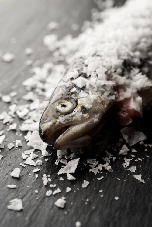 From the photo essay Salt preservation byÂ Martin Kaufmann FromÂ Cereal Magazine Volume 2Â #fish #salt