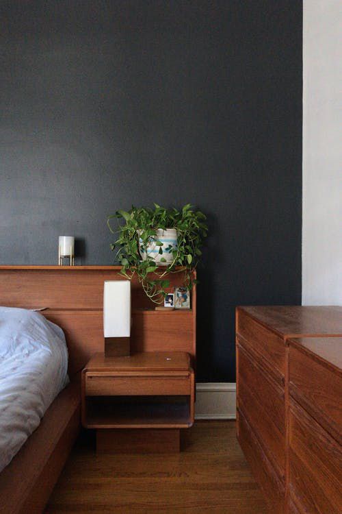 A Plant-Filled Condo With Beautiful Architecture | Apartment Therapy