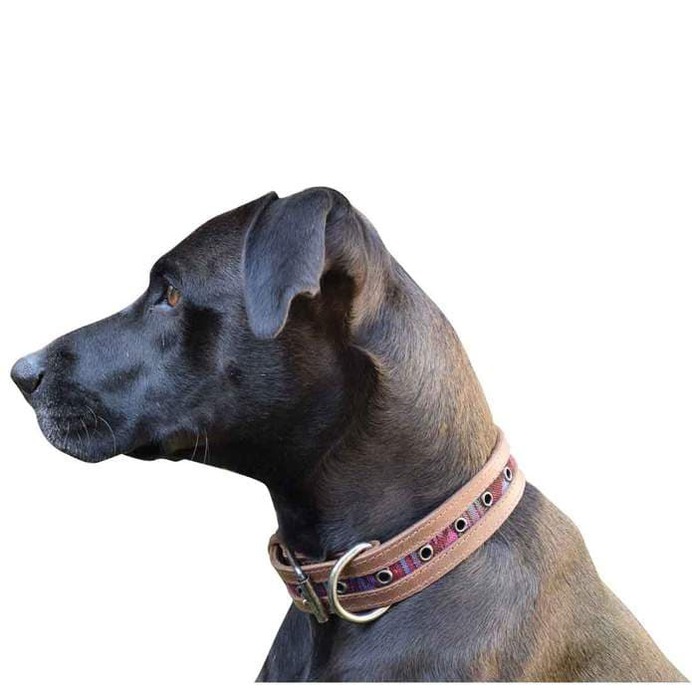 Rustic Mayan Dog Collar