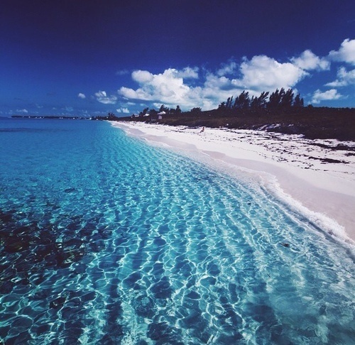 Likes | Tumblr #inspiration #sea #tropical