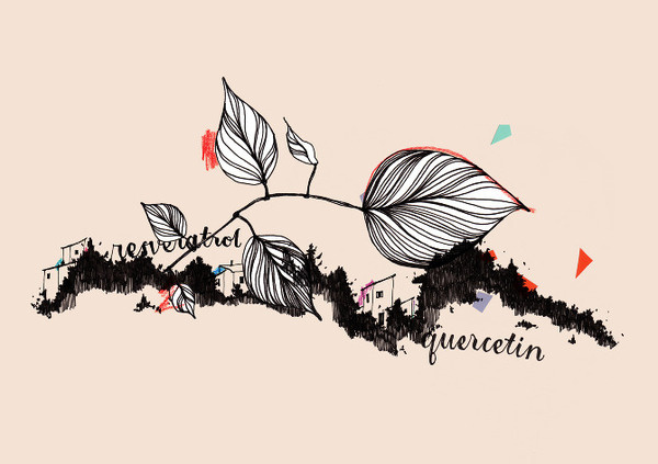 ❦ True Nature identity www.pepijnrooijens.com #illustration #identity