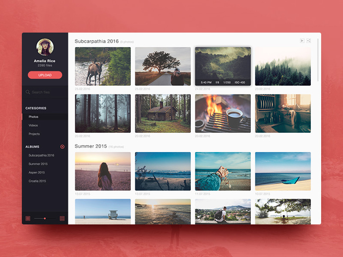 Photo Management Application #dashboard #ui #design
