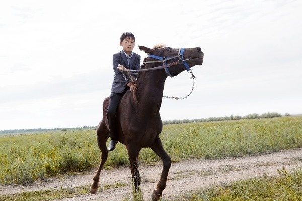 Land und Leute in Zentralasien by Waldemar Salesski #waldemar #horse #documentary #boy #asia #salesski