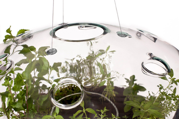 CJWHO ™ (A Suspended Glass Greenhouse Lamp 'glasshouse'...) #creative #lamp #greenhouse #glass #furniture #nature #clever