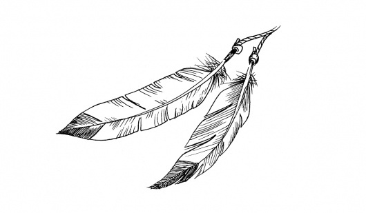 tumblr_m27izx1tXz1rqhy40o1_1280.jpg (1200×700) #blackwhite #feathers #illustration #drawn #hand