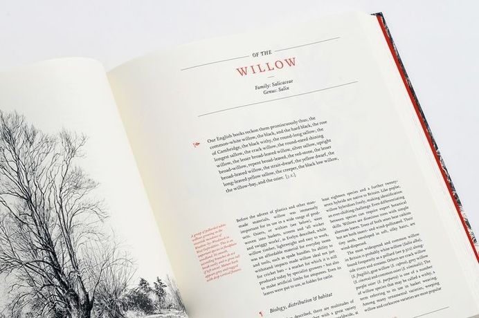 The new sylva - Grade design #layout #editorial