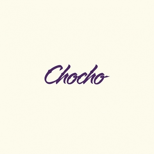 Logofolio 2011 on the Behance Network #chocho #branding #nude #suizopop #logo #logotipo
