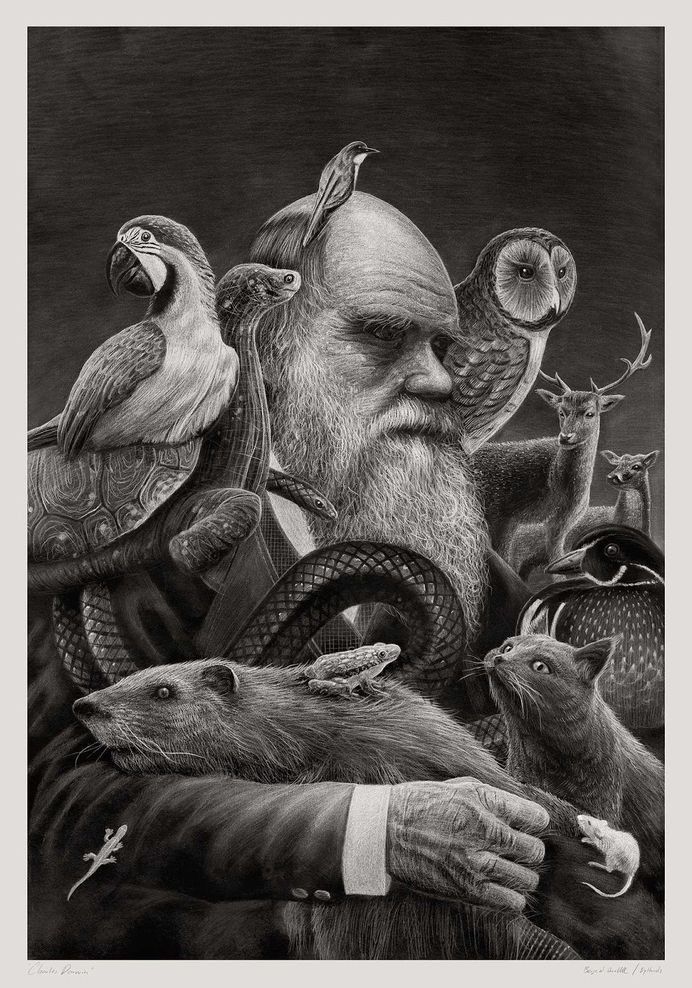 Various Pencil Drawings by Børge Bredenbekk