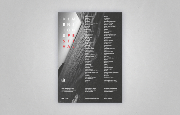 Dimensions Festival 2013 on Behance #type #print #poster