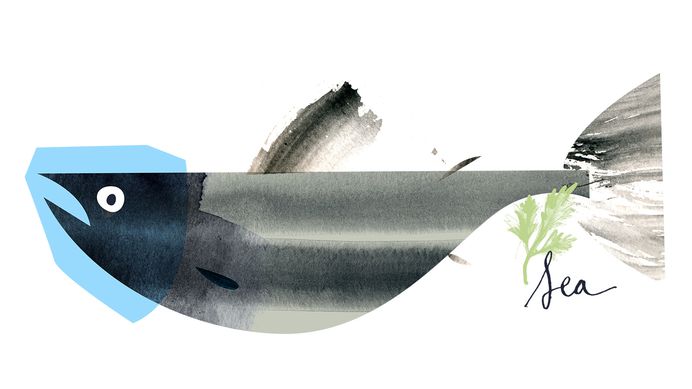 #illustration