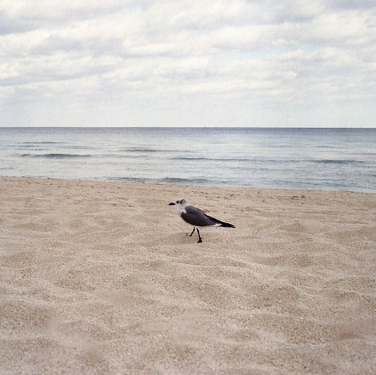 Maggie Harrsen #harrsen #photography #maggie