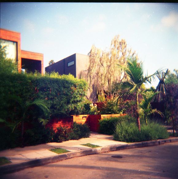 The House © Adele Jancovici 2015 Color print on paper #LosAngeles #Photography #art #palmtree #color #colorsplash #house #architecture