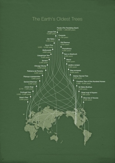 Data Awesomeness « THEE BLOG #print #graphic #poster #info