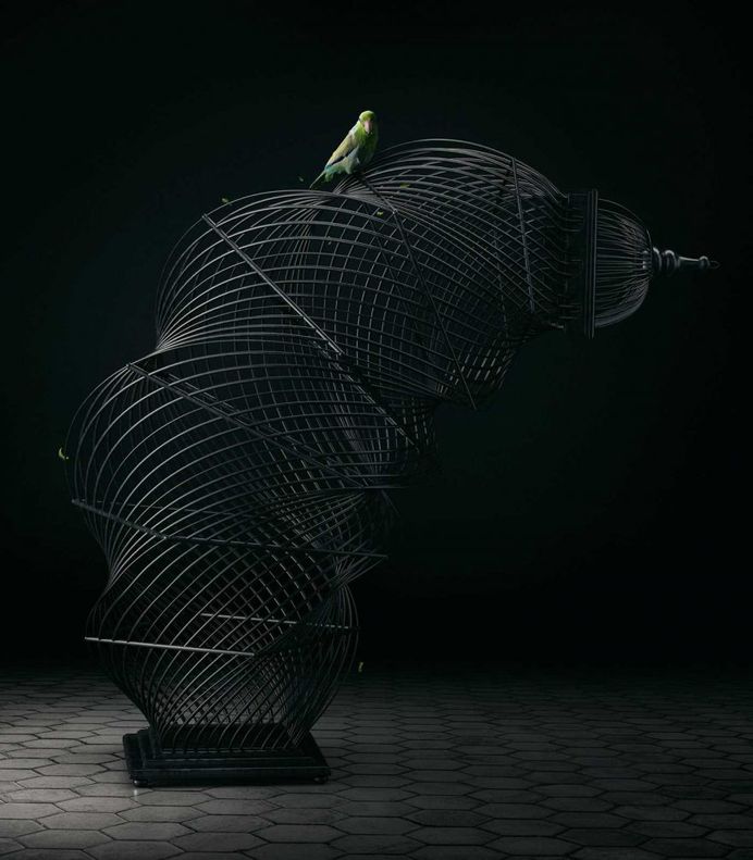 Free Bird: Creative Photo Manipulations by Mike Campau