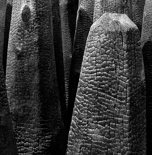 photowilliams: Photo #wood #photography #black