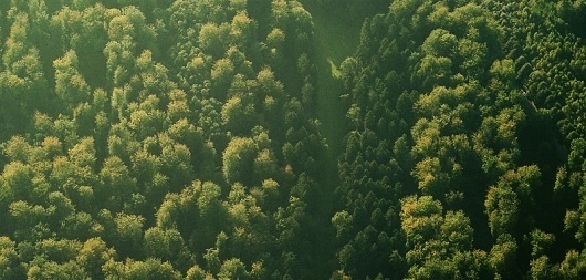 15.jpg (800×383) #aerial #belgium #photography #nature #plane #brussels #airport