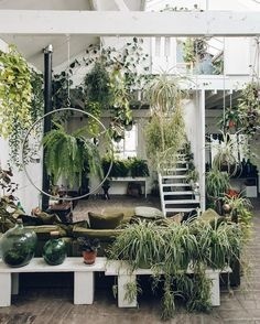 A little treat from us; take a tour through this urban jungle via the link in our profile.