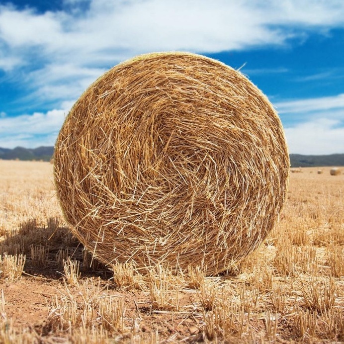 Spiritual and Minimalist Instagrams of Alex Oelofse