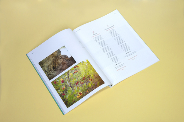 Revista Feria y Fiestas de Socovos on Behance #photograph #illustration #layout #editorial #magazine
