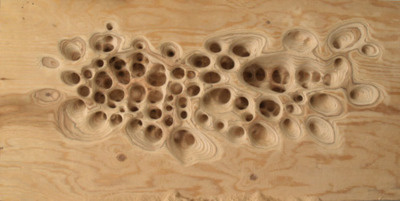 http://24.media.tumblr.com/tumblr_lih4mzLF8v1qzpyz2o1_400.jpg #wood