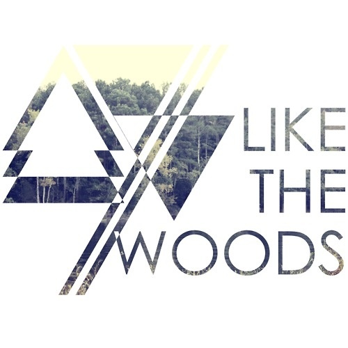 Like The Woods #lines #pathfinder #design #wood #nature #art #triangles