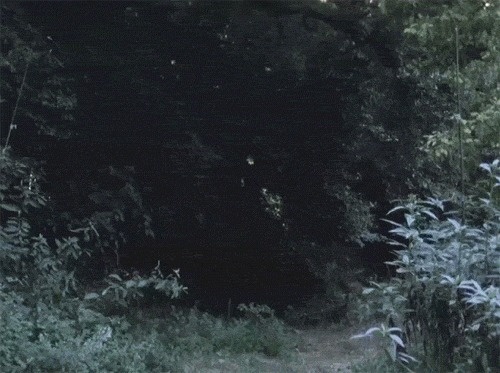 tumblr_lgi48haWdr1qzibe2o1_500.gif (500×373) #explosion