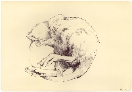 MATT HALL - MARCH 2012 #ink #a #mouse #way #either #or #is #it #rat #pen #and #dead #its