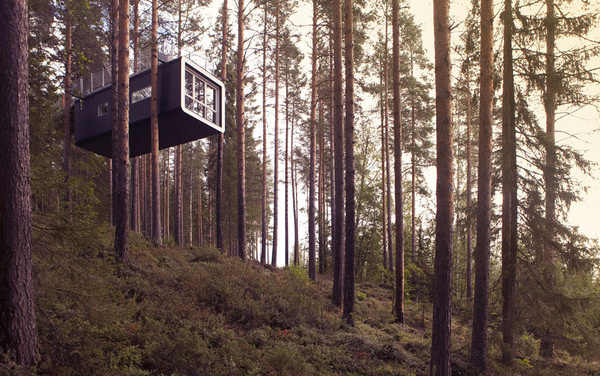The Cabin #sweden #cabin #woods #the #hotel