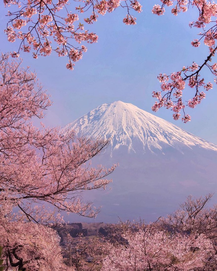 Amazing Nature Photography in Japan by Makiko Samejima