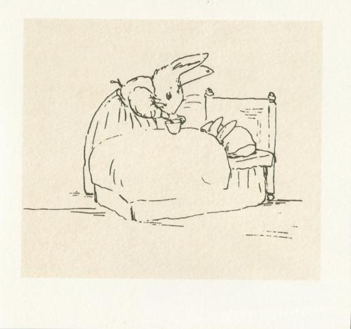 Every reform movement has a lunatic fringe #illustration #rabbit