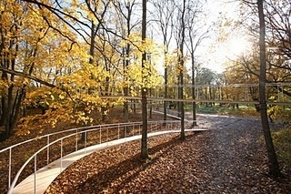 premier reg'art #kondo #a #architect #archi #in #lift11 #the #tetsuo #path #forest #japan #tallinn