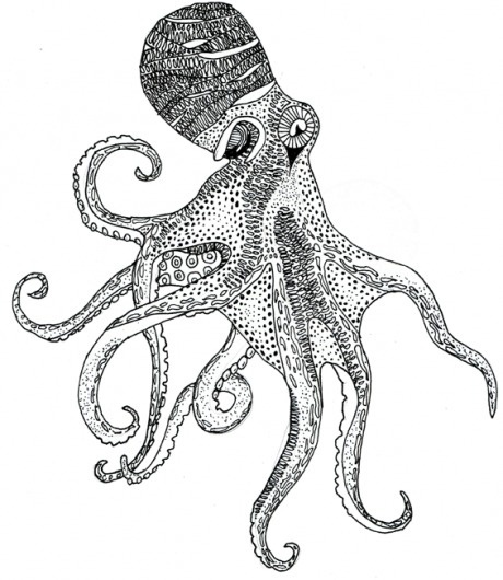 fashion - Adam Pobiak - pobiak.com #illustration #octopus
