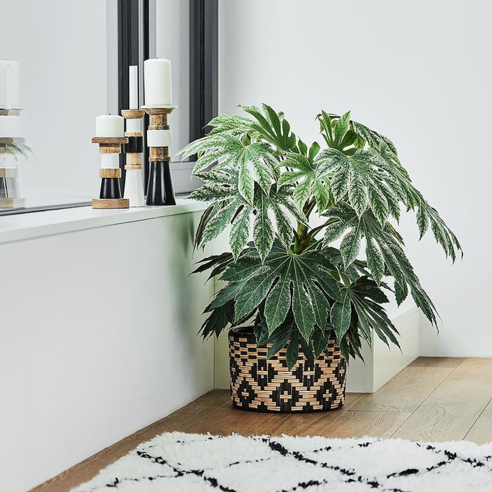 Hygge & Cozy Living Trend on Home24 - Mindsparkle Mag Hygge is not a piece of furniture or a decorative object, but a feeling of security and coziness. The Danish happiness concept celebrates absolute comfort and coziness. #interior #design #color #photography #graphic #design #gallery #blog #project #mindsparkle #mag #beautiful #portfolio #designer