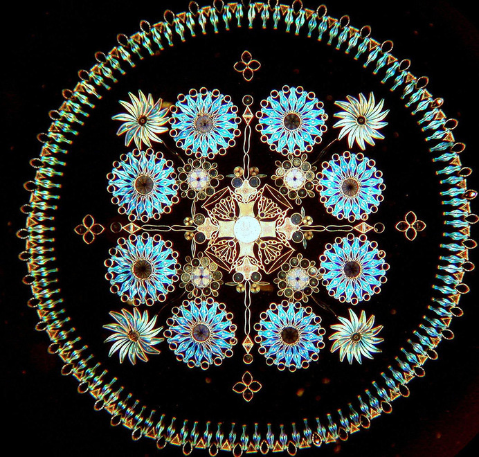 Contemporary Artistic Arrangements of Microscopic Diatoms by Klaus Kemp science microbes fossils algae #klauskemp science microbes fossils a
