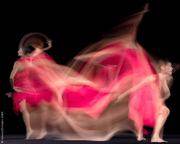 Motion Study 1087 #motion #photography