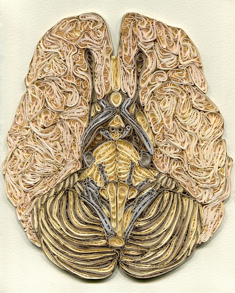paper filigree brain Art Print #hersenen #inspiratie