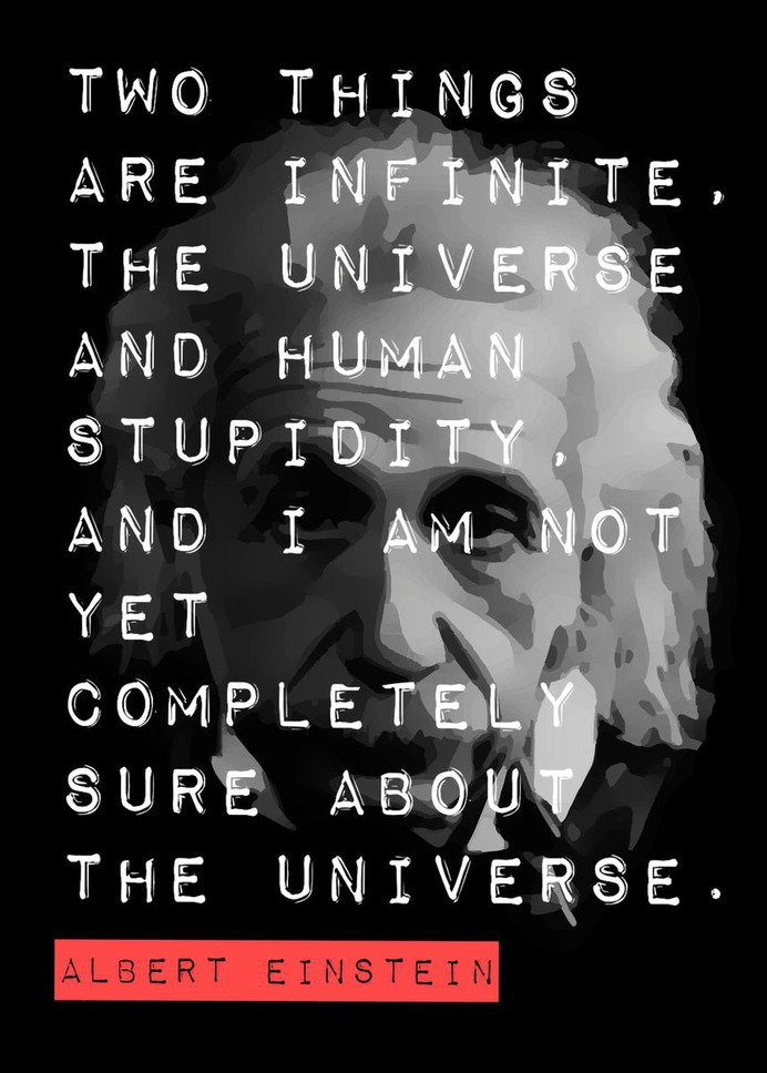"Albert Einstein Quote" Poster Print on metal by Sam Kal