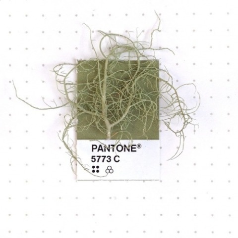 Tiny PMS Match | PICDIT #design #color #pantone #art #colour