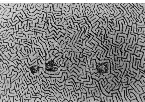david rownia #pattern