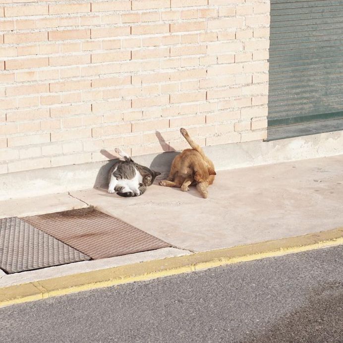Rural Spain: Minimalist Landscape Photography by David Mirete