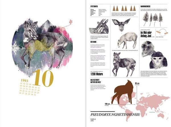 infographic design, animal, cryptozoology, saola, illustration, calendar #wwwbehancenetgallerybehind #unknown35 #http #the