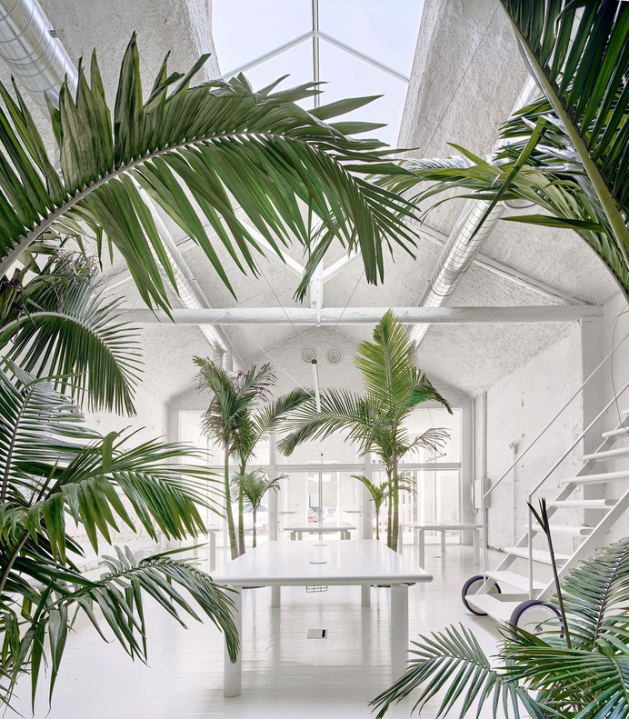 Acid House by ARQUITECTURA-G