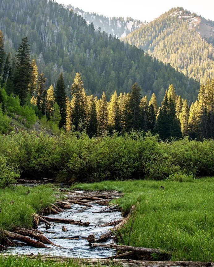 #nakedplanet: Outstanding Nature Landscapes by Josh Packer