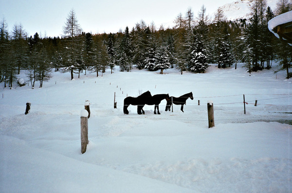 ph.: Fabrizio Raschetti #raschetti #fabrizio #photography #art