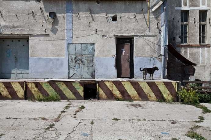 A Dog's Life by Lisa Van Damme #inspiration #photography #art