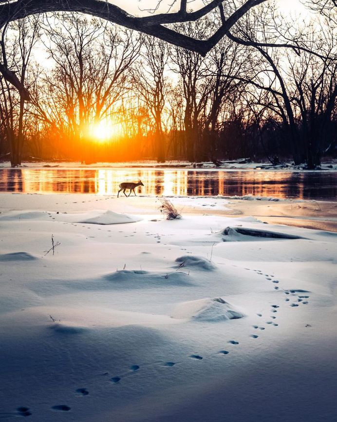 Fantastic Nature Photography by Logan Brown