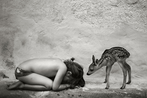photo #friendship #deer #white #black #photography #and #beauty