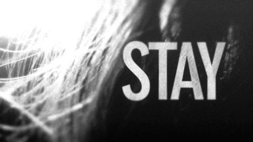 stay #hair #photography #desaturate #typography