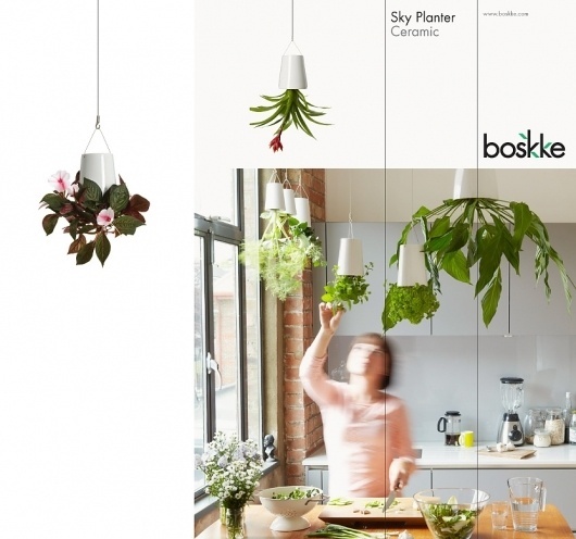 Boskke Identity | Bibliothèque Design #branding #identity #bibliotheque #logo #typography