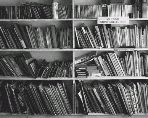 Roseairie #animation #motion #books #gif #stop